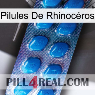 Pilules De Rhinocéros viagra1